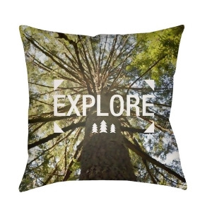 Explore by Surya Poly Fill Pillow Green/Gray/White 20 x 20 Exp001-2020 - All