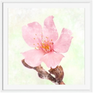 Cherry Blossom Wall Art by Surya 40 x 40 Ai270a001-4040 - All