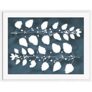 Pressed Plants Ii by Kate Roebuck for Surya 34 x 28 Kr127a001-3428 - All
