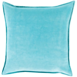 Cotton Velvet by Surya Poly Fill Pillow Aqua 20 x 20 Cv019-2020p - All