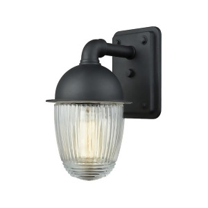 Elk Channing 1 Lt Outdoor Wall Sconce Matte Black Clear Ribbed 5x9 45250-1 - All