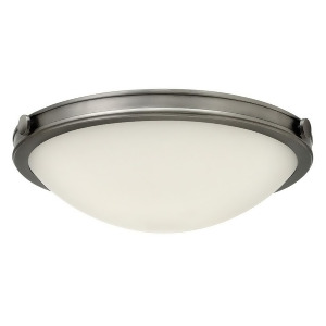 Hinkley Lighting Foyer Maxwell in Antique Nickel 3783An-led - All