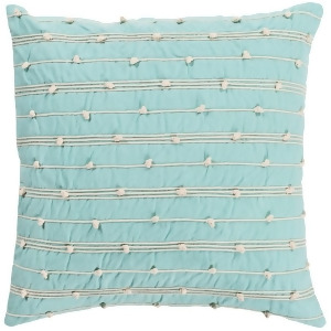 Accretion by Surya Down Fill Pillow Mint/Cream 20 x 20 Act001-2020d - All