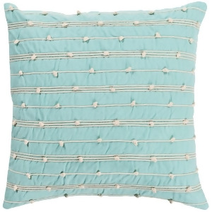 Accretion by Surya Down Fill Pillow Mint/Cream 22 x 22 Act001-2222d - All