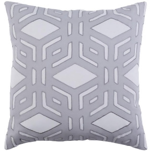 Millbrook by A. Wyly for Surya Pillow Gray 20 x 20 Mbk002-2020p - All