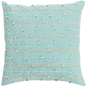Accretion by Surya Poly Fill Pillow Mint/Cream 18 x 18 Act001-1818p - All
