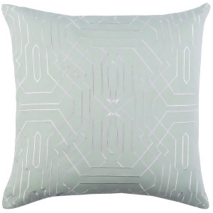 Ridgewood by A. Wyly for Surya Down Pillow Mint/White 20 x 20 Rdw009-2020d - All