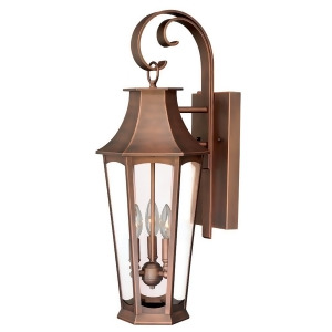 Vaxcel Preston 10' Outdoor Wall Light Brushed Copper T0120 - All