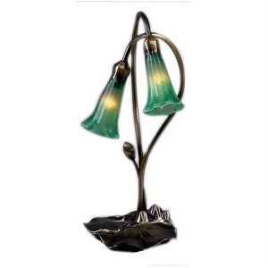 Meyda Lighting 16'H Green Pond Lily 2 Lt Accent Lamp 13481 - All