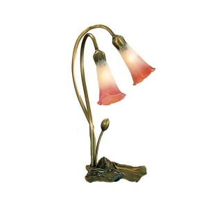 Meyda Lighting 16'H Pink/White Pond Lily 2 Lt Accent Lamp 14170 - All