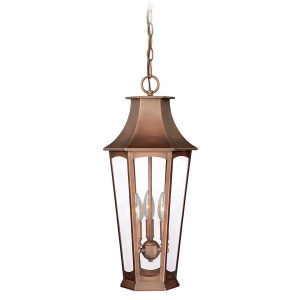 Vaxcel Preston 10' Outdoor Pendant Brushed Copper T0122 - All