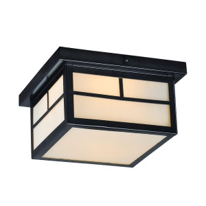 Maxim Lighting Coldwater 2-Light Outdoor Ceiling Mount Black 4059Wtbk - All