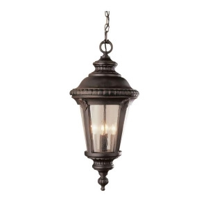 Trans Globe Trans Globe 17' High Hanging Lamp Rust 5049 Rt - All