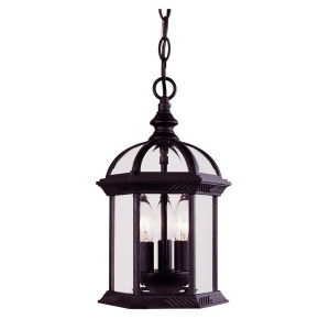 Savoy House Kensington Hanging Lantern in Textured Black 5-0635-Bk - All