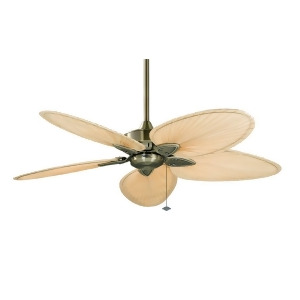 Fanimation Windpointe Antique Brass 5-Blade/Isp4 Fp7500ab - All