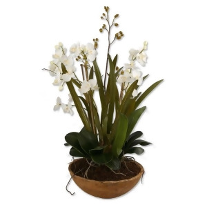 Uttermost Moth Orchid Planter 60039 - All