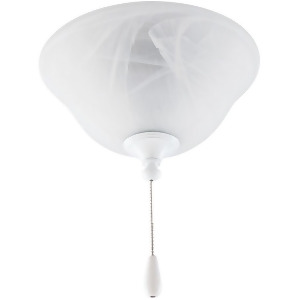 Progress Airpro Two-Light Ceiling Fan Light Kit P2621-30ebwb - All