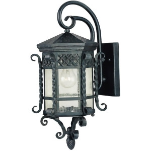Maxim Scottsdale 1-Light Outdoor Wall Lantern Country Forge 30123Cdcf - All