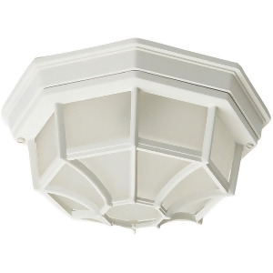 Maxim Lighting Crown Hill 2-Light Outdoor Ceiling Mount White 1020Wt - All