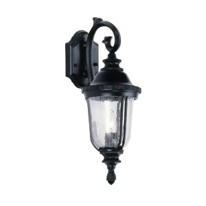 Trans Globe Crackle Glass 20 inch Outdoor Coach Lantern 4020 Rt - All