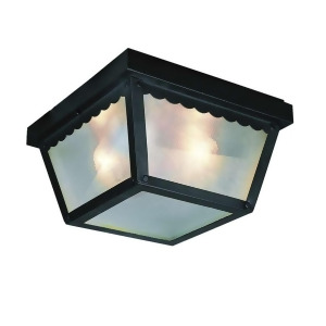 Trans Globe Smith 9 Outdoor Ceiling Light Black 4902 Bk - All
