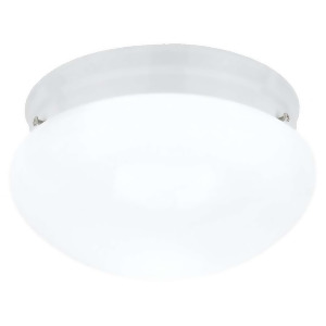 Sea Gull Lighting Two-Light White Ceiling in White 5328-15 - All