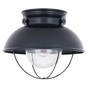 Sea Gull Lighting Single-light Sebring Outdoor Ceiling in Black 8869-12 - All