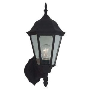 Sea Gull Lighting One Light Outdoor Wall Lantern in Black 88941-12 - All