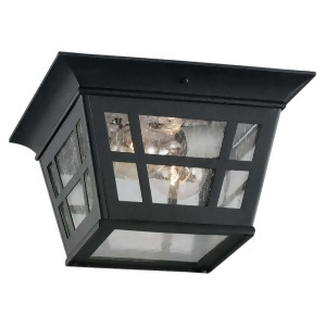 Sea Gull Lighting Two Light Outdoor Ceiling Flush Mount in Black 78131-12 - All