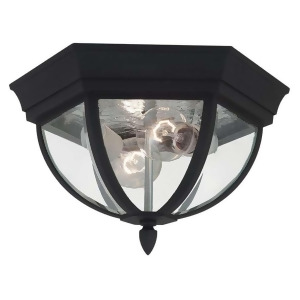 Sea Gull Lighting Outdoor Ceiling Fixture Black Clear Beveled Glass 78136-12 - All