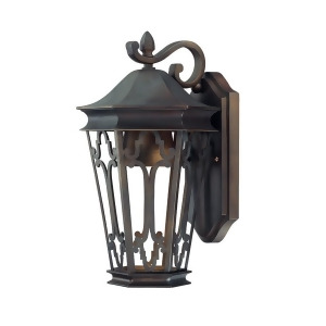 Capital Lighting Dark Sky 1 Lt Outdoor Wall Lantern Old Bronze 9441Ob - All