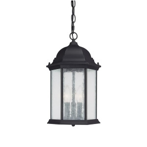 Capital Lighting Main Street 3 Light Hanging Lantern Black 9836Bk - All