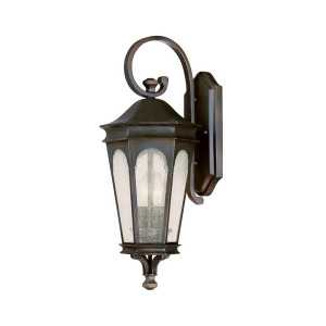 Capital Lighting Inman Park 2 Light Outdoor Wall Lantern Old Bronze 9381Ob - All