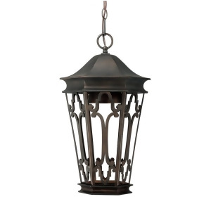Capital Lighting Dark Sky 1 Lt Outdoor Hanging Lantern Old Bronze 9446Ob - All