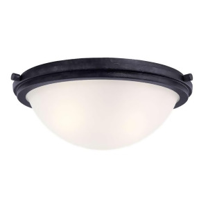 Sea Gull Lighting Two Light Ceiling Flush Mount in Blacksmith 75661-839 - All