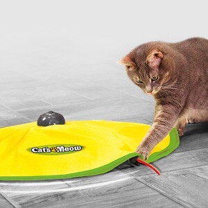 jml cat toy