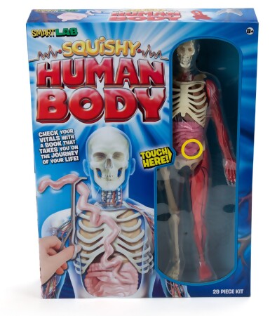 squishy human body kit