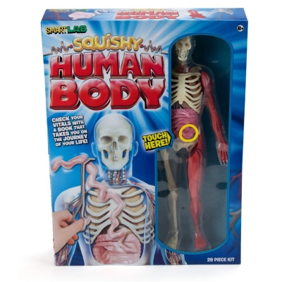 squishy human anatomy
