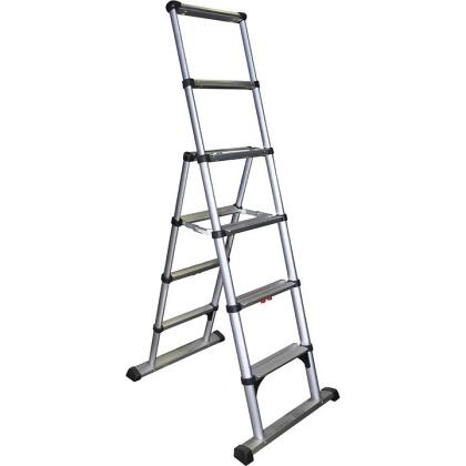 Telesteps combination ladder