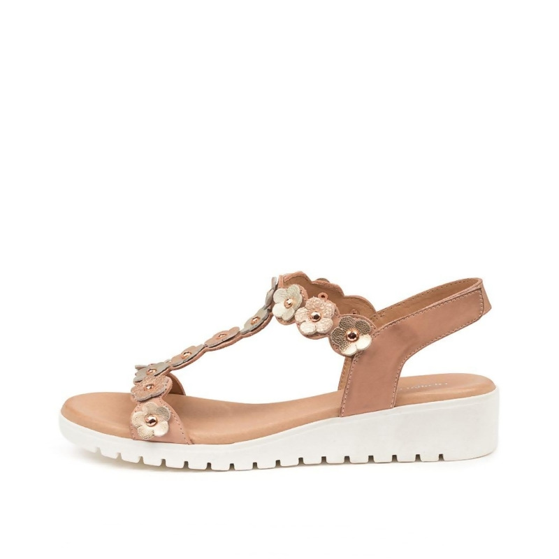 coral reef shoes womens