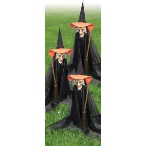 Group of Spooky Witch Lawn Props - All