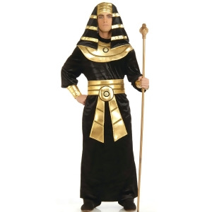 Black and Gold Pharaoh Adult Costume - All