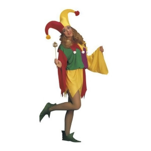 Adult King's Jester Costume - All