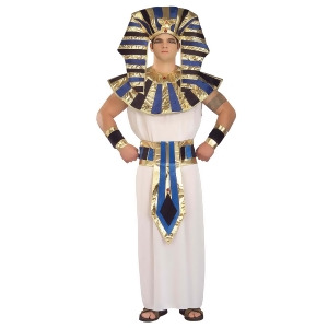 Men's Super Tut Costume - All