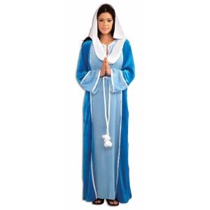 Deluxe Mary Costume for Women. - All