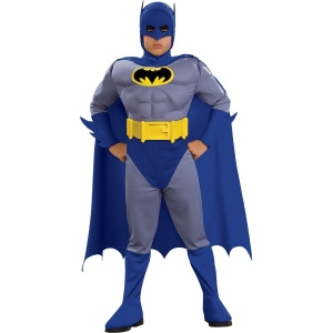 Deluxe Boy's The Brave and The Bold Batman Muscle Chest Costume - TODDLER