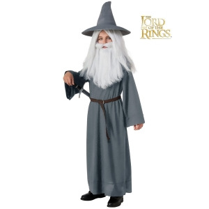 The Hobbit Gandalf Costume for Kids - SMALL
