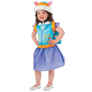 Paw Patrol Everest Costume for Toddler - TODDLER