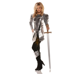 Adult A Knight To Remember Costume - SMALL