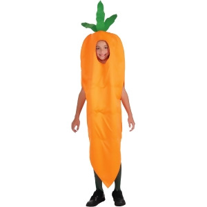 Carrot Costume for Kids - M/L